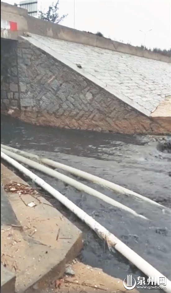 网友所拍摄的视频截图