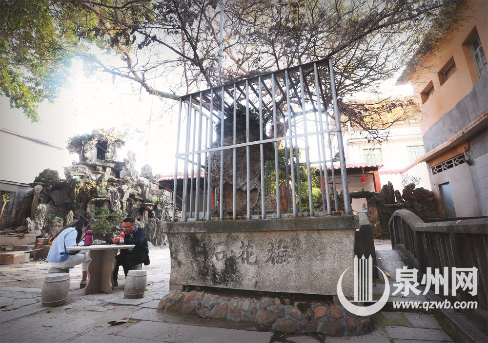 梅花石天然去雕饰,几经波折才被完好保存。 梅花石天然去雕饰,几经波折才被完好保存。