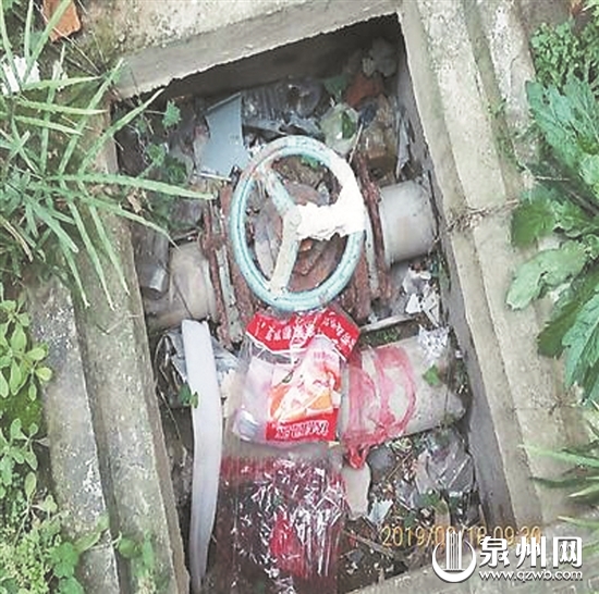 侨乡体育中心广场保洁不到位 