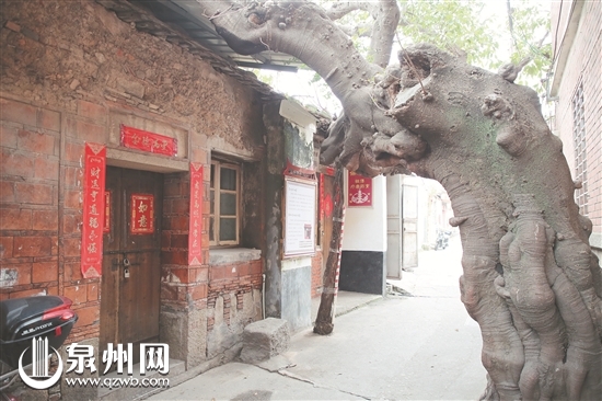 白塔巷里“白塔膏” 老字号传两百年 白塔巷里“白塔膏” 老字号传两百年