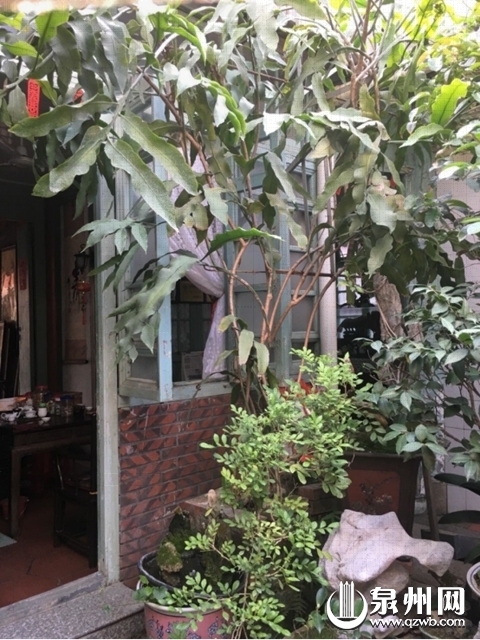 后城街 后城街