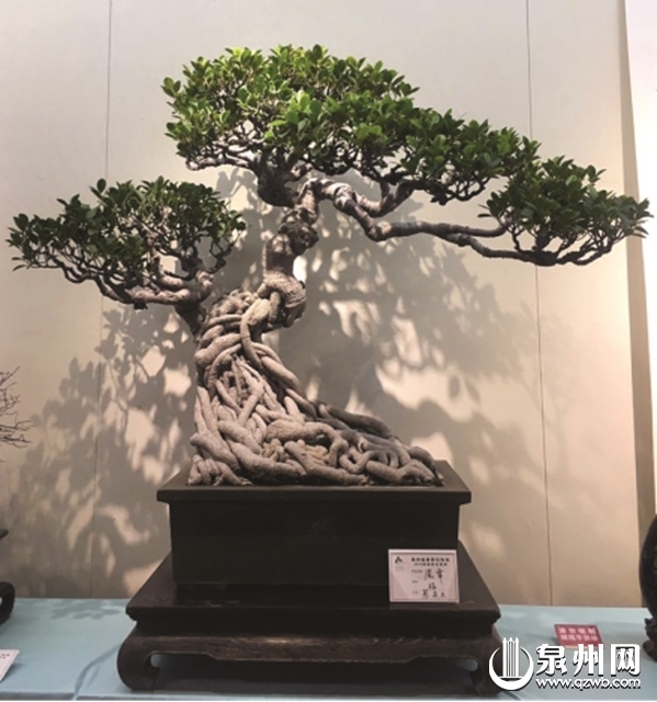 后城街 后城街