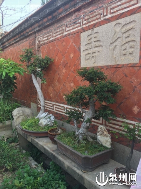 后城街 后城街