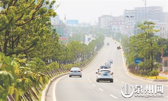 路域环境优美的国道324线惠安段 （林劲峰 摄）