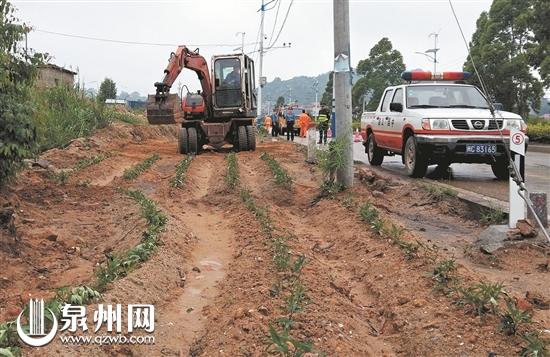 执法人员清理种在公路路肩上的庄稼 执法人员清理种在公路路肩上的庄稼