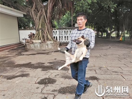 被抓住的流浪狗还在不断挣扎