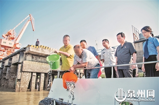 鱼苗放流到泉州后渚码头水域