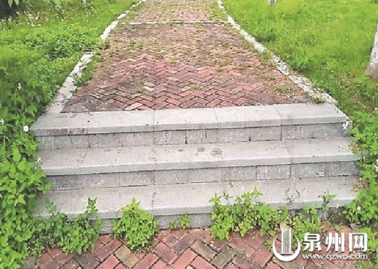 滨海公园杂草丛生