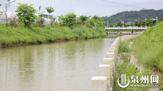 水体治理效果显著 水体治理效果显著