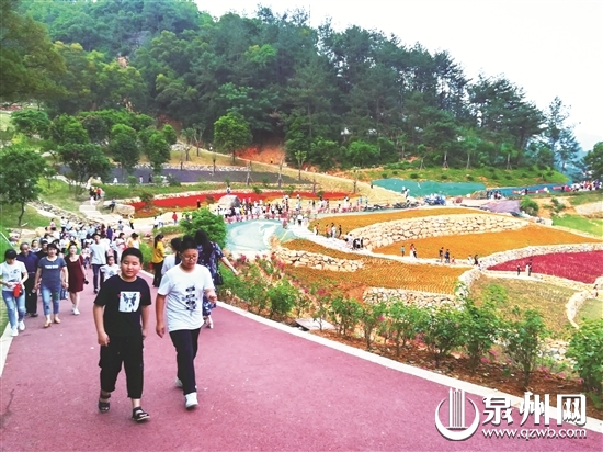 安溪绿道北线主线体验段完工并对市民开放，成为休闲好去处。