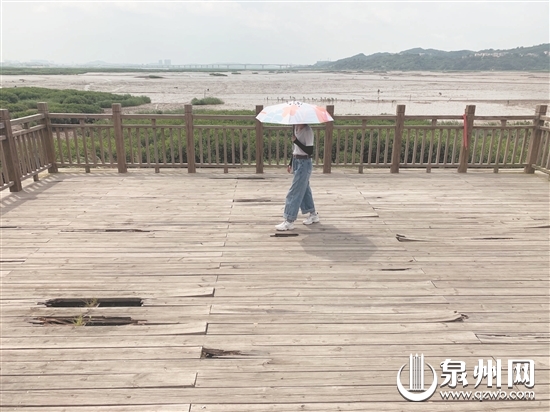 丰海路湿地公园观景台木栈道破损 游客赏美景存隐患