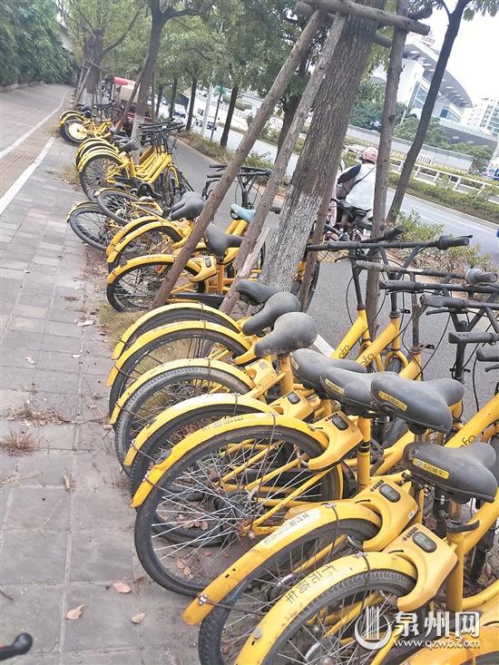 ofo单车东倒西歪，布满灰尘。  