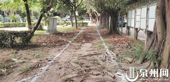 结合小区环境修建休闲慢道