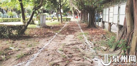 健身慢道改造前