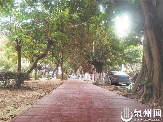 健身慢道改造后