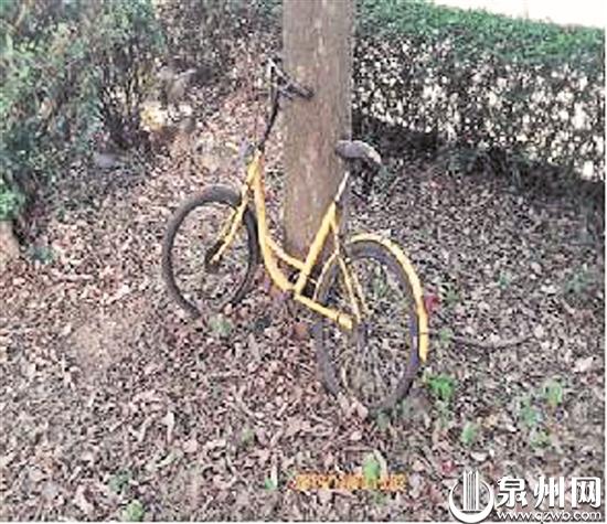 侨乡体育中心广场有废弃车辆乱停放