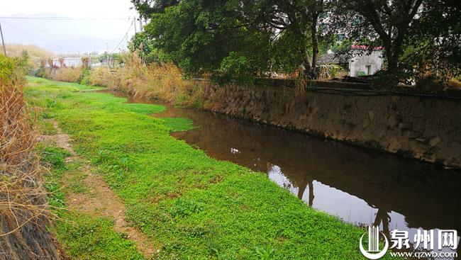 水体治理效果显著