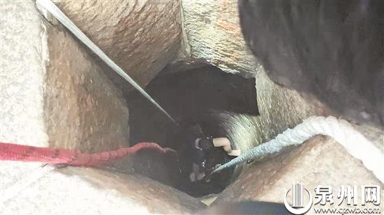 做好防护措施后，救援人员下井救人。