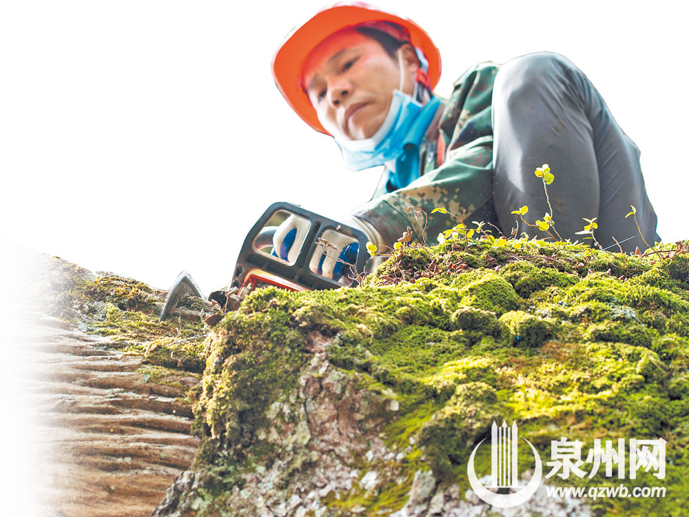 工人正在去除腐皮