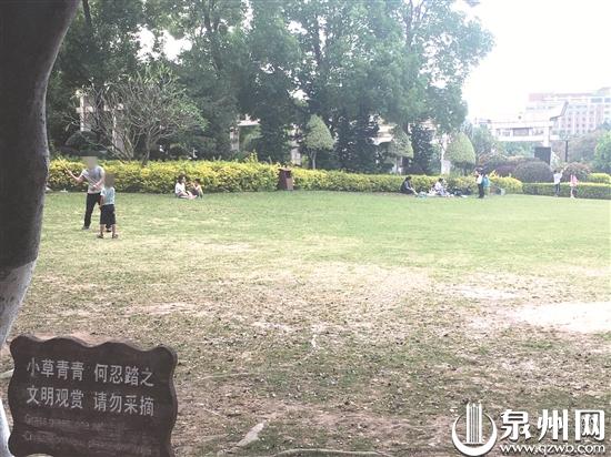 个别小孩随地小便踩踏草坪折花公园游玩赏美景别煞风景