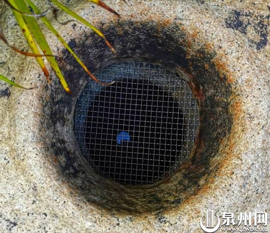 井水澄澈可鉴。