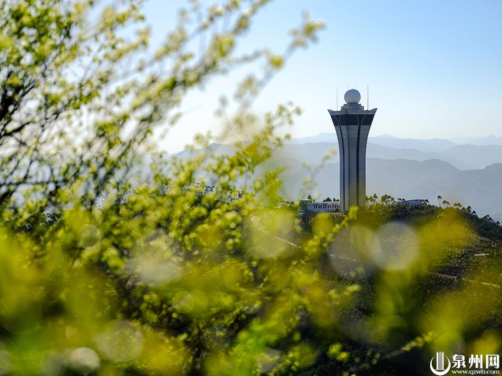 【五律】《春游紫帽山》庄灿煌