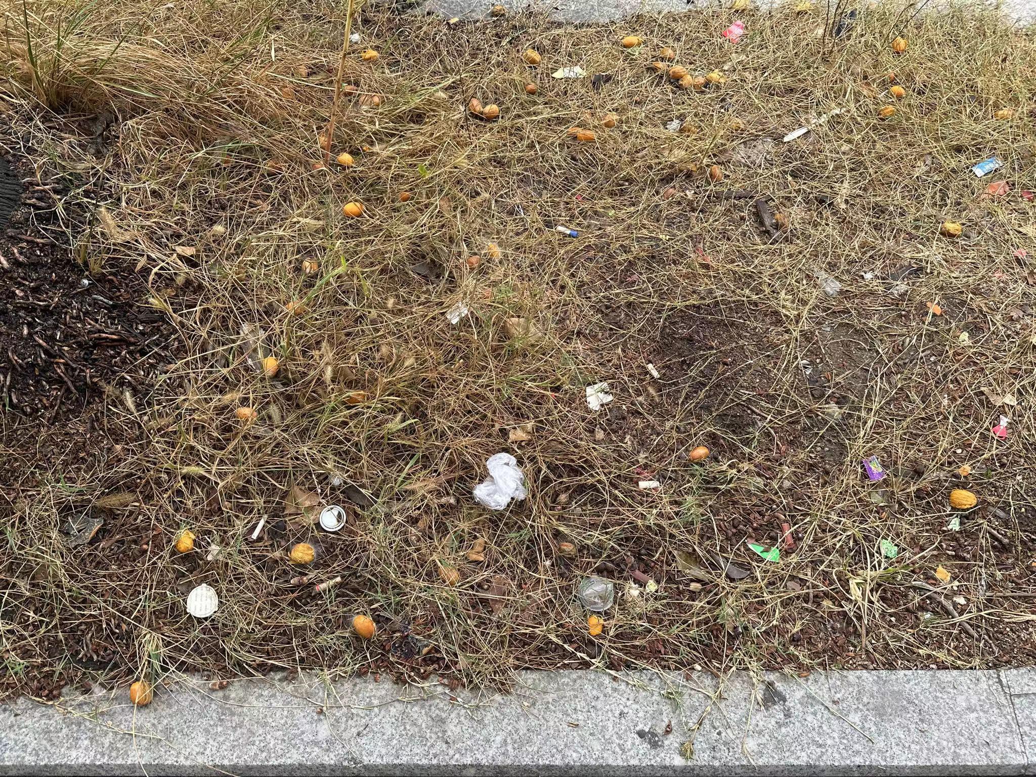 ad80c6dfd389517e72bd63b037febaa.jpg ad80c6dfd389517e72bd63b037febaa.jpg