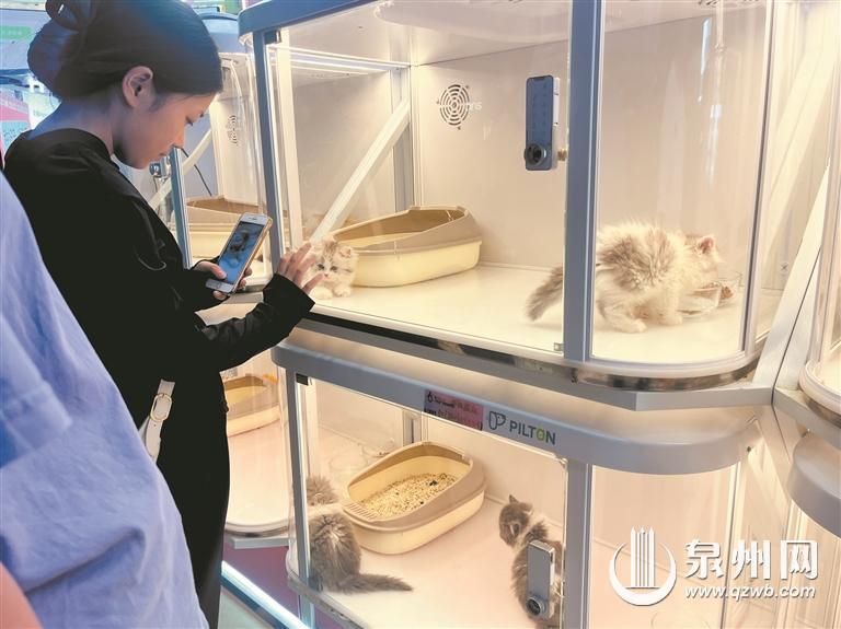 哈希娱乐- 哈希游戏平台- 哈希游戏官方网站海外优质宠物素材网站推荐：图库、视频、音频资源一网打尽_网站推荐_做外链