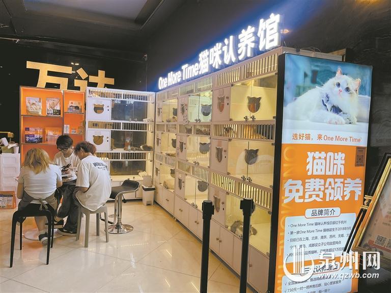 哈希娱乐- 哈希游戏平台- 哈希游戏官方网站我国宠物行业现状概览