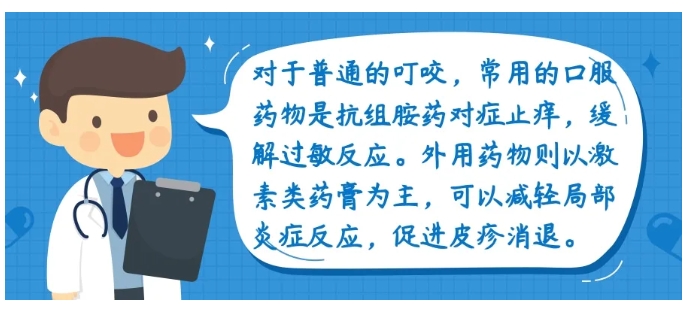 9067792_4fe2680c-f2b1-40d8-aeaf-929ad3516d20.png