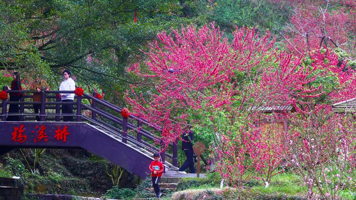 相约泉州，赴一场春日花事