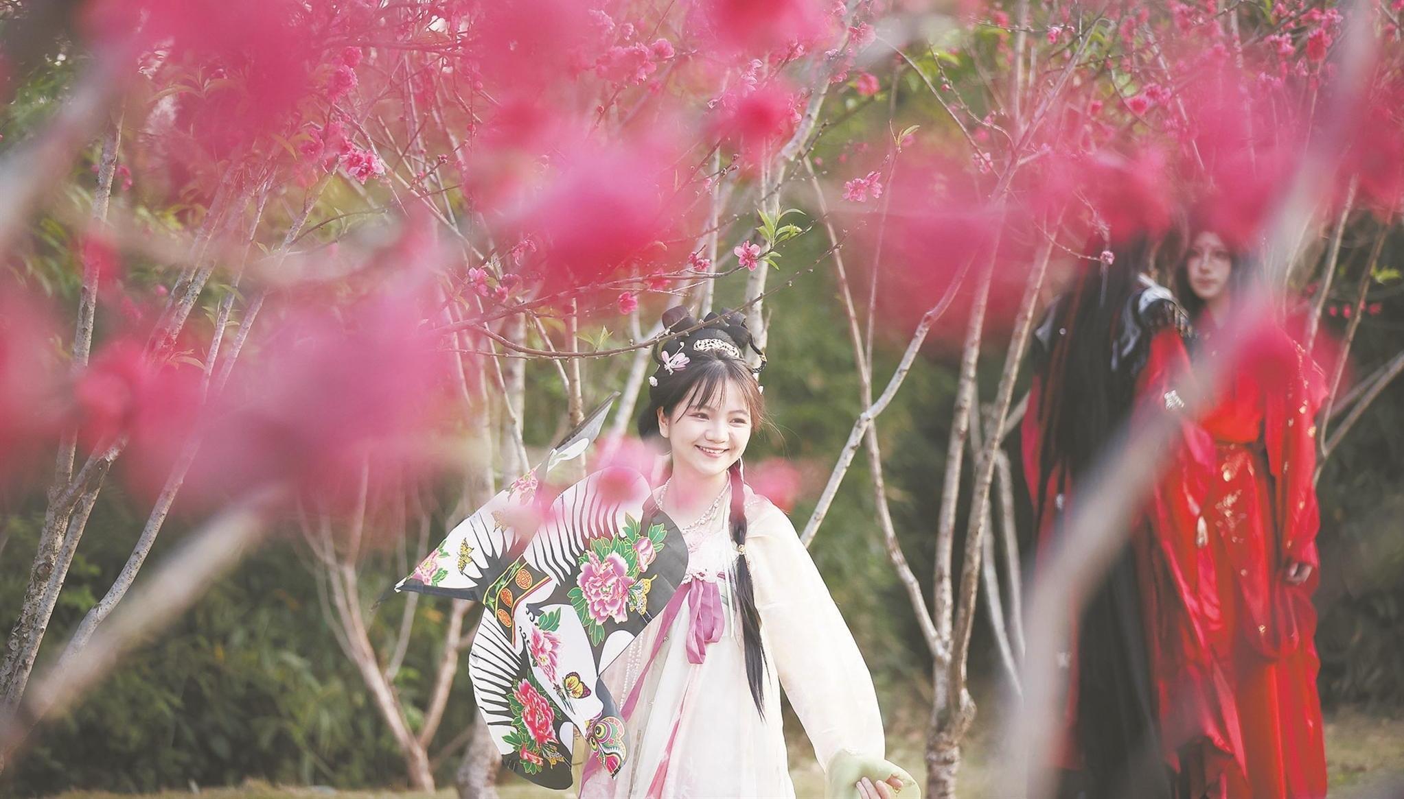 泉州西湖公园桃花岛千株桃花盛放，迎来最佳赏花期