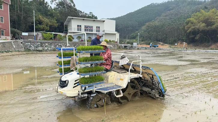 科技助力奏响春耕曲 泉州市各地紧锣密鼓推进春耕生产