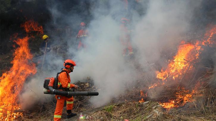 鲤城开展森林防灭火应急演练 实战练兵筑就“安全网”