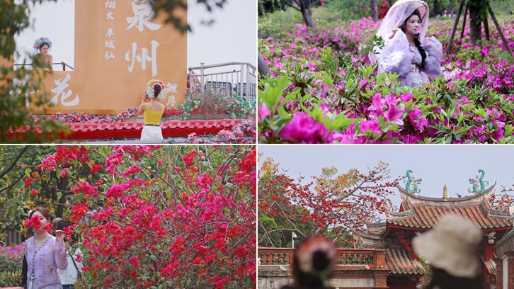 春分喜逢“龙抬头” 泉州古城春光明媚 迎来踏青出游高峰