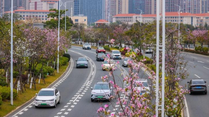 一路繁花 车行画中