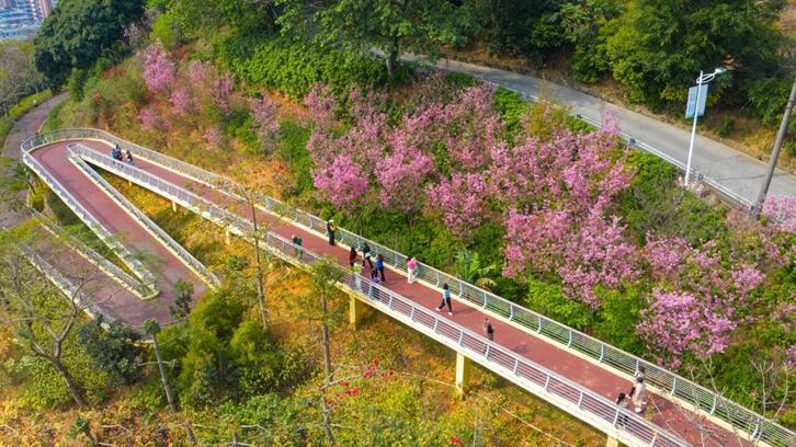 徒步赴春光 “走读”泉州青山绿道