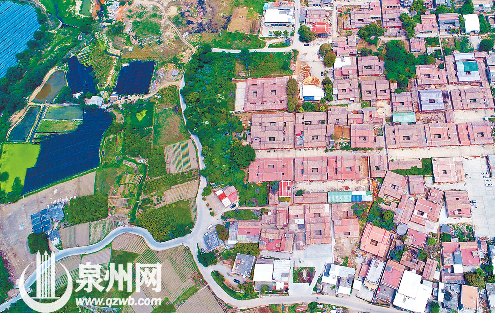 南安官桥的蔡氏古民居和附近田野风光交相辉映。（陈英杰 摄）