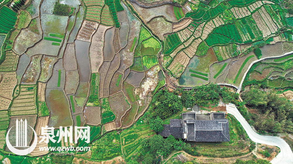 永春县五里街镇蒋溪村，俯瞰之下，梯田如同拼版。（张九强 摄）