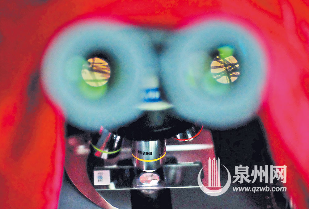用纤维测量仪的高倍显微镜看清文物的材料（陈起拓 陈小阳 /图）