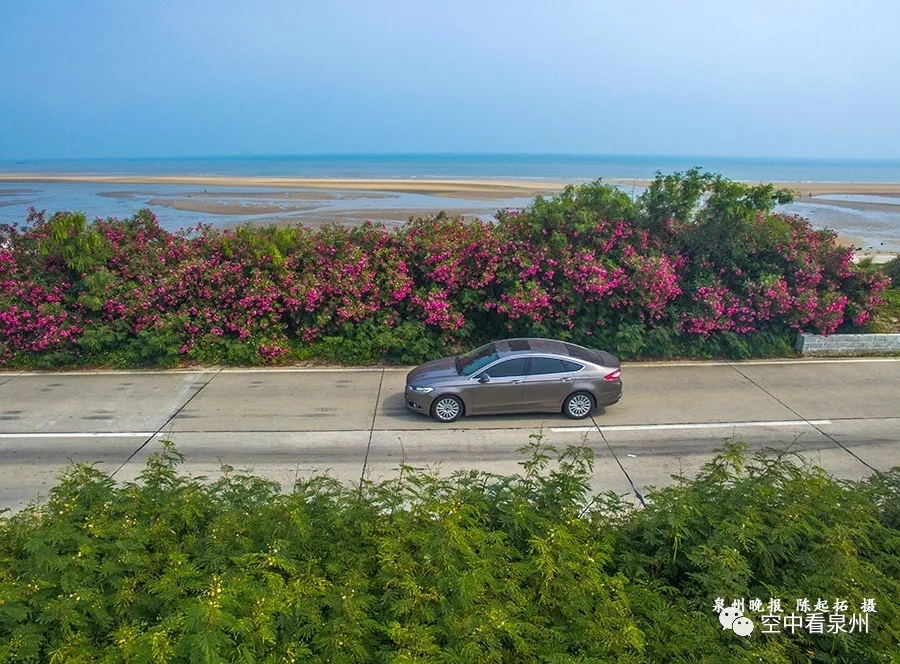 航拍 | 月亮湾旁,籍籍无名的沙洲那么美…… 航拍 | 月亮湾旁,籍籍无名的沙洲那么美……