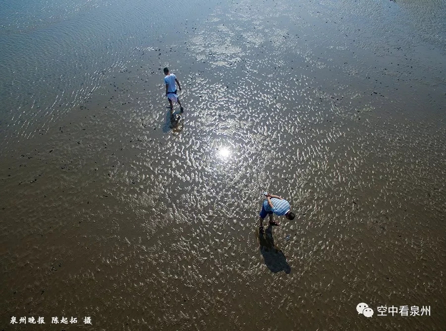 航拍 | 月亮湾旁,籍籍无名的沙洲那么美…… 航拍 | 月亮湾旁,籍籍无名的沙洲那么美……