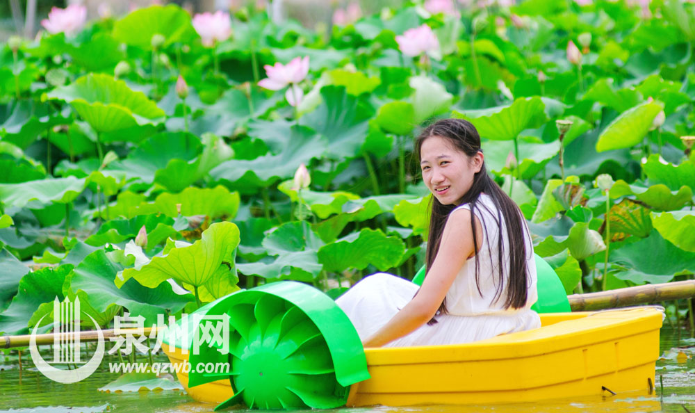 这段时间，德化县南埕镇南埕近百亩荷花渐次开放，婀娜多姿、争奇斗艳。满池荷花装点着夏日，游客不仅可以赏荷花，还可荡着小船漂游荷田，给人们带来别样清凉。（许华森 李宏图 陈明华 摄影报道）