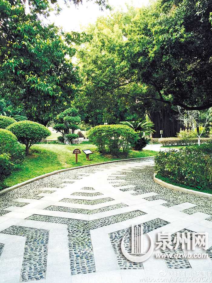 芳草茵茵 芳草茵茵