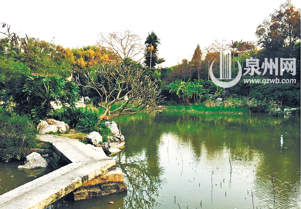 湖畔波光粼粼 湖畔波光粼粼