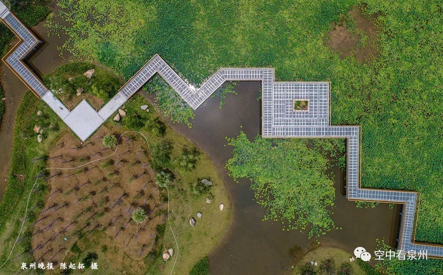 笋江公园改造即将完工,画风很美 笋江公园改造即将完工,画风很美