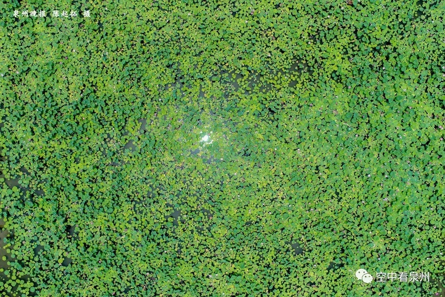 笋江公园改造即将完工,画风很美 笋江公园改造即将完工,画风很美