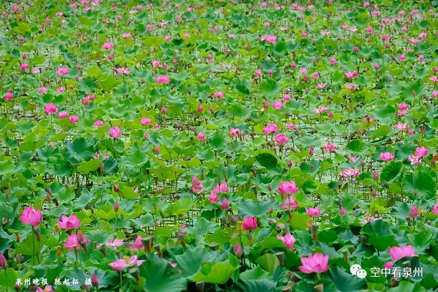 笋江公园改造即将完工,画风很美 笋江公园改造即将完工,画风很美