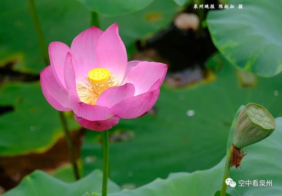 笋江公园改造即将完工,画风很美 笋江公园改造即将完工,画风很美