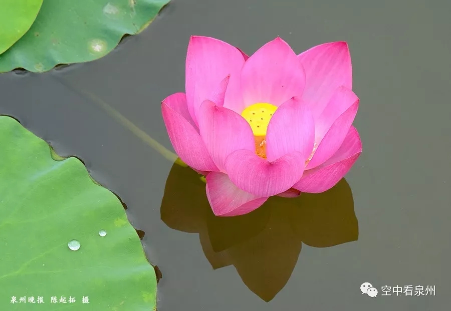 笋江公园改造即将完工,画风很美 笋江公园改造即将完工,画风很美